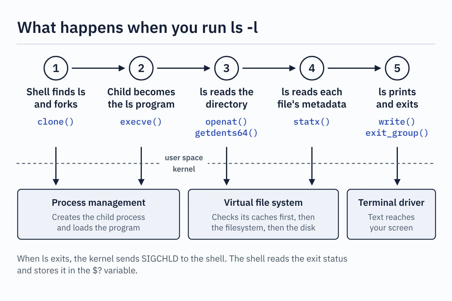 Diagram of the path of ls -l: the shell finds the program and forks, the child runs ls, ls reads the directory and each file's metadata, then prints and exits. Each step crosses from user space into the kernel through a system call.